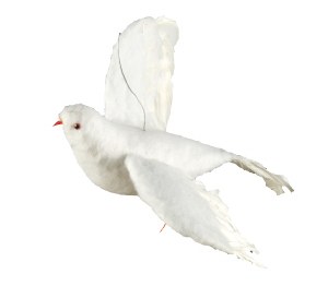 BIRD FEATHER WHITE 12" Sukkah Decoration #54