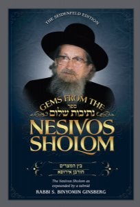 Gems from the Nesivos Shalom: Bein Hameitzarim and Churban Europe [Hardcover]