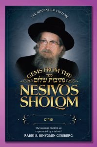 Gems from the Nesivos Shalom on Purim [Hardcover]