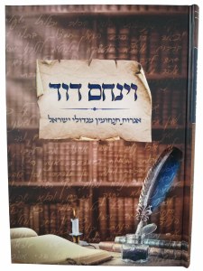 Vayinachem Dovid [Hardcover]
