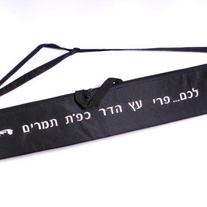 Insulated Lulav Bag with Handles