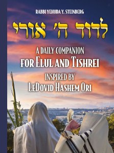 LeDovid Hashem Ori [Hardcover]