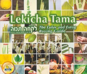 Lekicha Tama [Paperback]