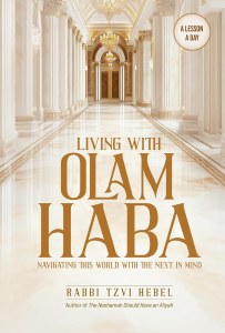 Living with Olam Haba [Hardcover]