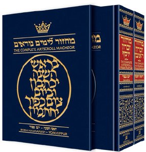 Artscroll Machzorim 2 Volume Slipcased Set Ashkenaz [Hardcover]