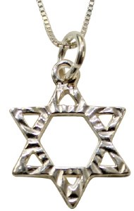 Silver Star Of David Necklace #MJB1002