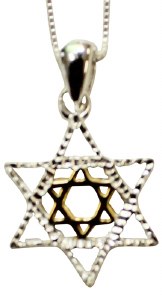Silver Star of David Necklace With Gold Plating #MJB1901