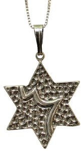 Silver Star Of David Necklace #MJB5322
