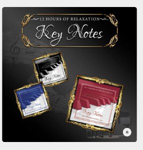Aressi Pro Key Notes Collection Album USB