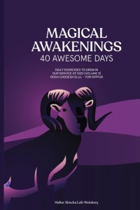 Magical Awakenings 40 Awesome Days [Paperback]
