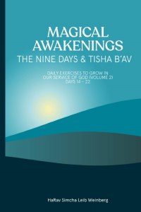 Magical Awakenings The Nine Days and Tisha Bav [Paperback]