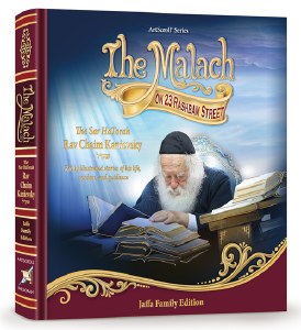 The Malach on 23 Rashbam Street [Hardcover]