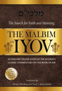 The Malbim on Iyov: The Search for Faith and Meaning [Hardcover]