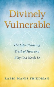 Divinely Vulnerable [Hardcover]