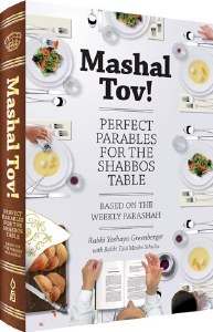 Mashal Tov! [Paperback]