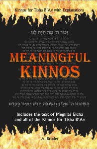 Meaningful Kinnos [Paperback]