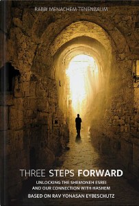 Three Steps Forward [Hardcover]