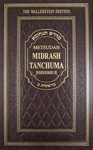 Metsudah Midrash Tanchuma vol. 2: Bereishis II