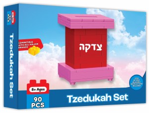 Mitzvah Blocks Pink Tzedaka Box Building Lego 90 Piece Play Set