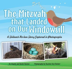 The Mitzvah That Landed On Our Windowsill [Hardcover]