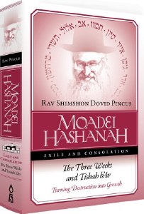 Moadei Hashanah: Exile and Consolation [Hardcover]