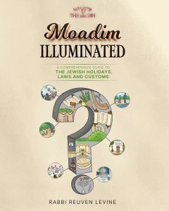 Moadim Illuminated [Hardcover]