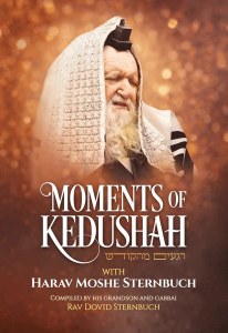 Moments of Kedushah [Hardcover]