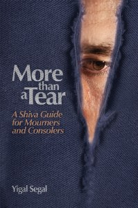 More Than a Tear (Paperback)