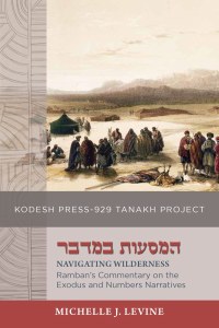 Navigating Wilderness [Paperback]