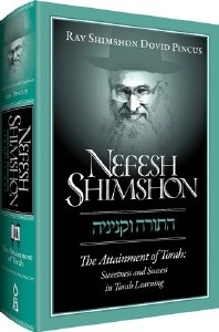 Nefesh Shimshon The Attainment of Torah [Hardcover]