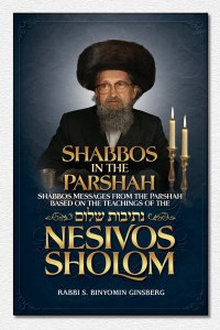Nesivos Shalom Shabbos in the Parshah [Hardcover]