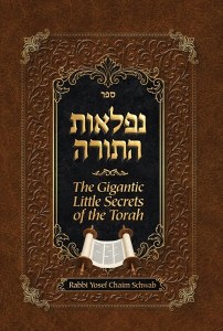 Niflaos Hatorah The Gigantic Little Secrets of the Torah [Hardcover]