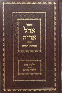 Ohel Aryeh New Print [Hardcover]