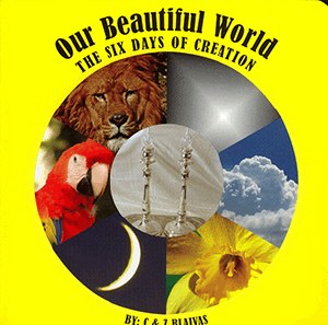Our Beautiful World The Six Days of Creation [Boardbook]