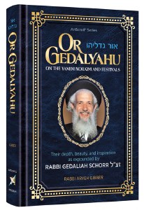 Or Gedalyahu on the Yamim Noraim and the Festivals [Hardcover]