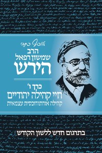 Osaf Kisvei Rav Hirsch Volume 6 Hebrew Edition [Hardcover]