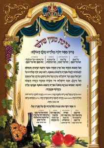 Bracha Achrona Poster 3D 20" x 28"