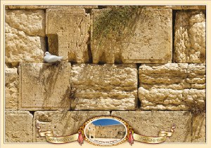 Laminated Sukkah Poster Kosel
