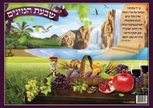 Laminated Sukkah Poster Shivaas Haminim