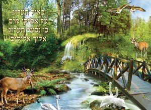 Laminated Sukkah Poster Keayal Taarog