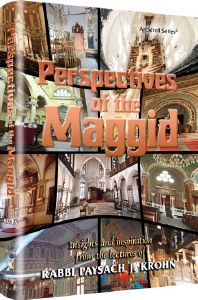 Perspectives of the Maggid [Hardcover]