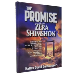 The Promise of the Zera Shimshon Galus and Geulah [Hardcover]