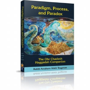 Paradigm Process and Paradox [Paperback]