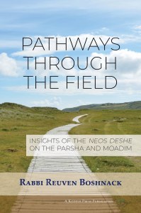 Pathways Through the Field [Paperback]