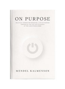 On Purpose [Paperback]