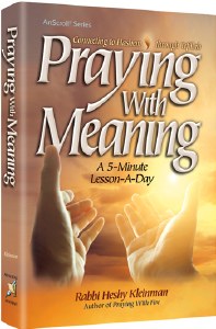 Praying with Meaning [Hardcover]