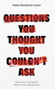 Questions You Thought You Couldn't Ask [Hardcover]