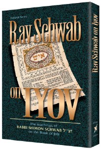 Rav Schwab on Iyov [Hardcover]