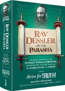 Rav Dessler on the Parsha [Hardcover]