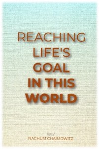 Reaching Life's Goal In This World [Paperback]
